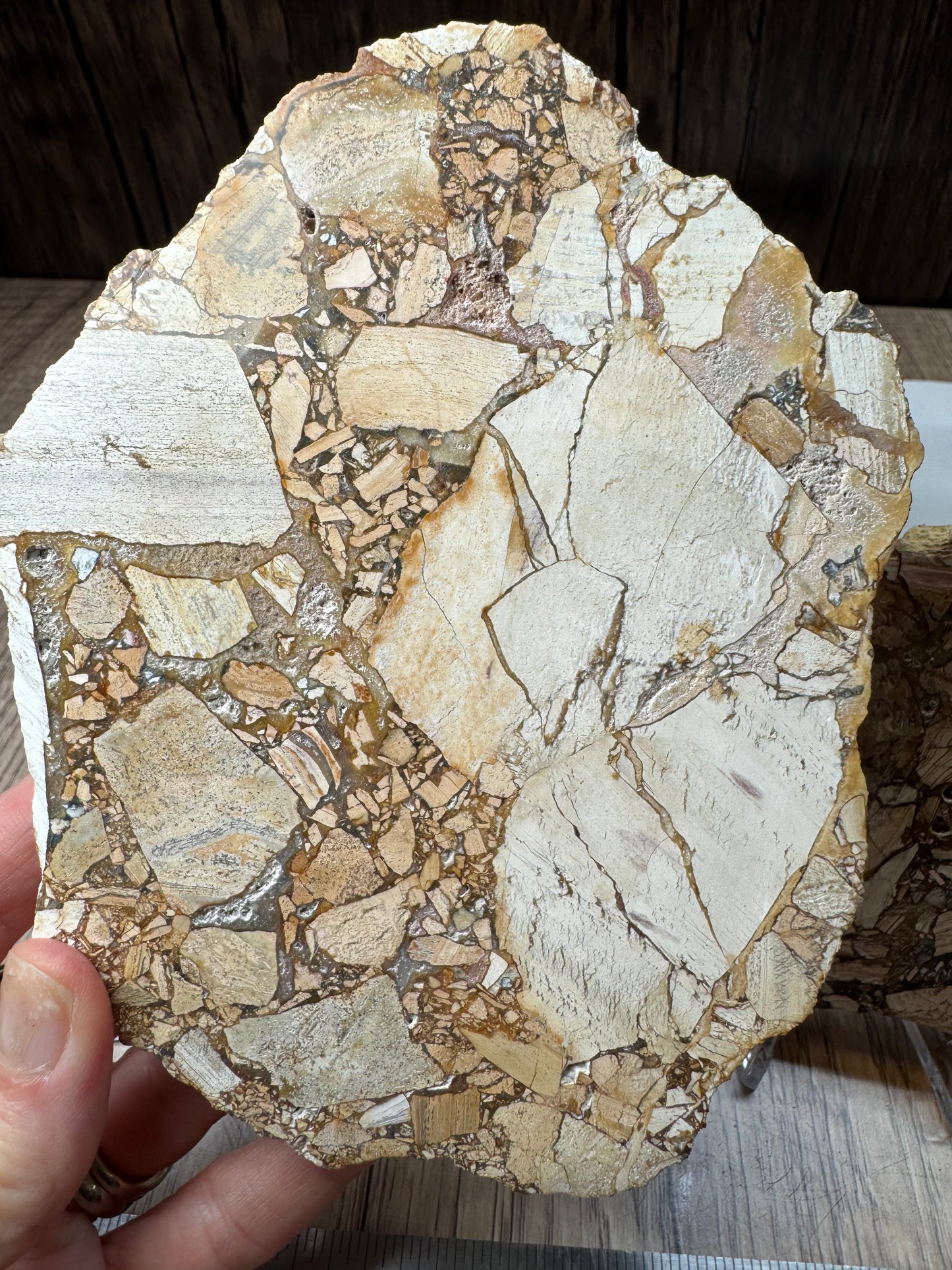 Maligano Jasper Slabs — Lot A