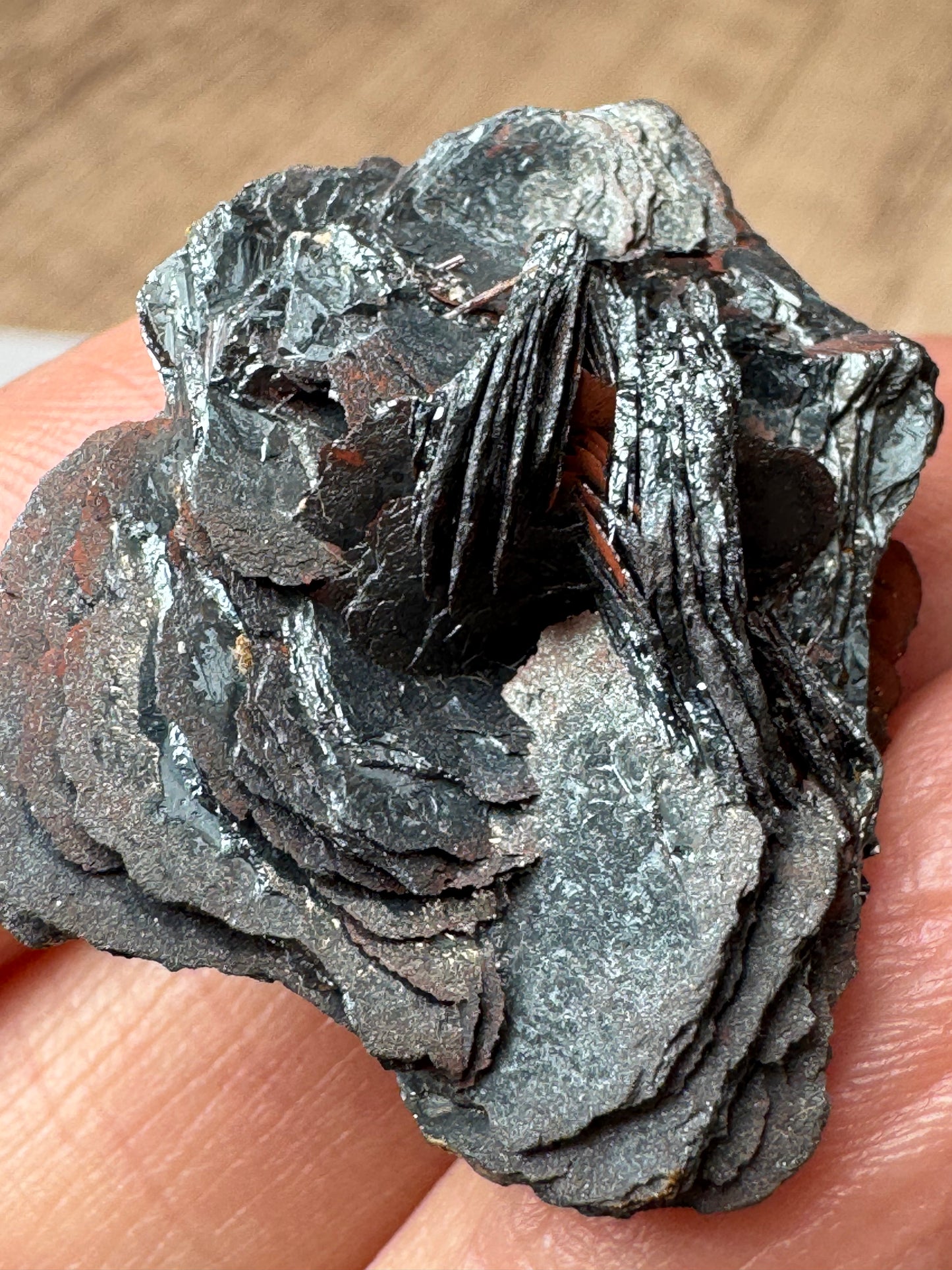 Hematite Rose Specimens — Lot A
