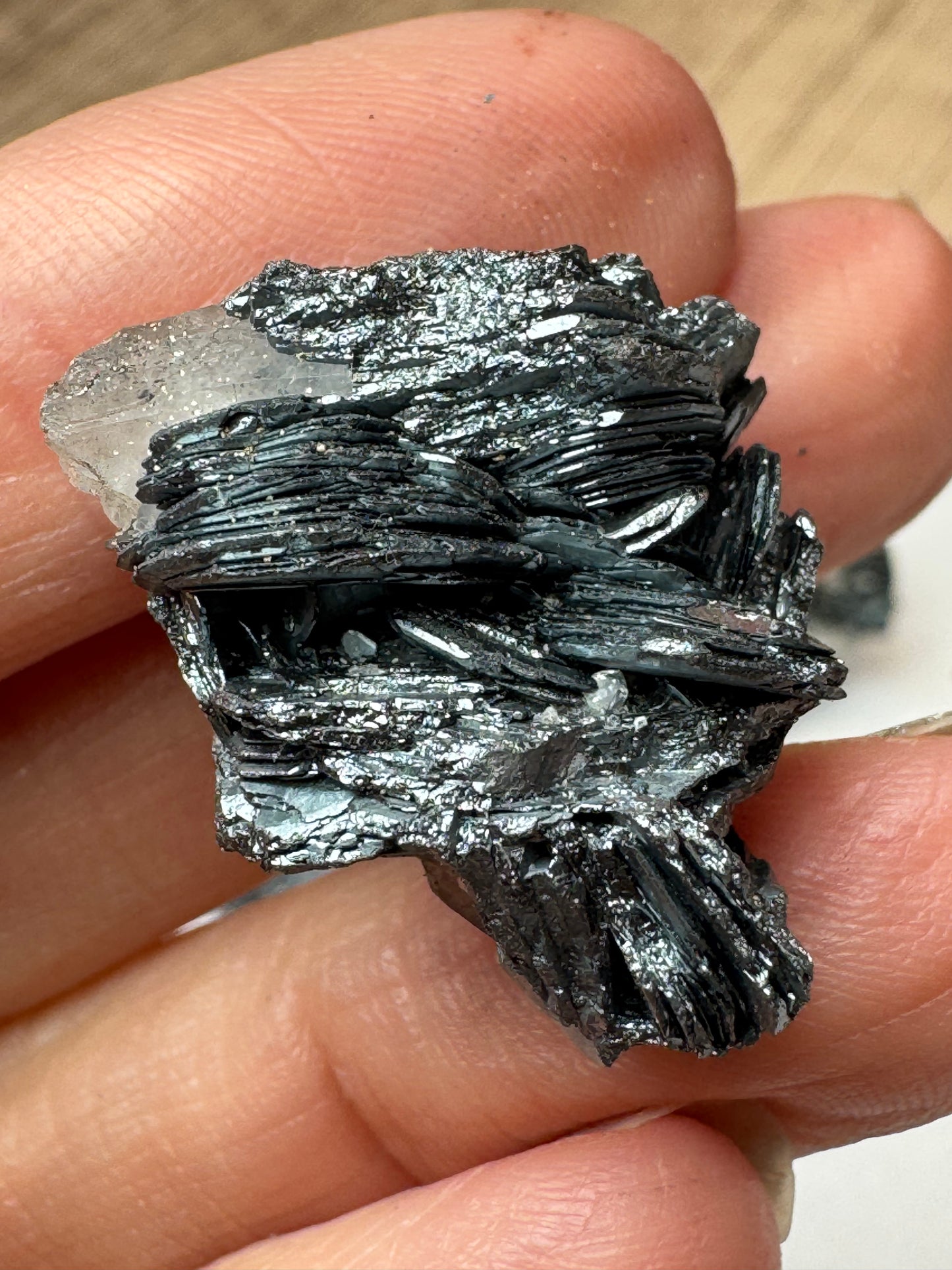 Hematite Rose Specimens — Lot A
