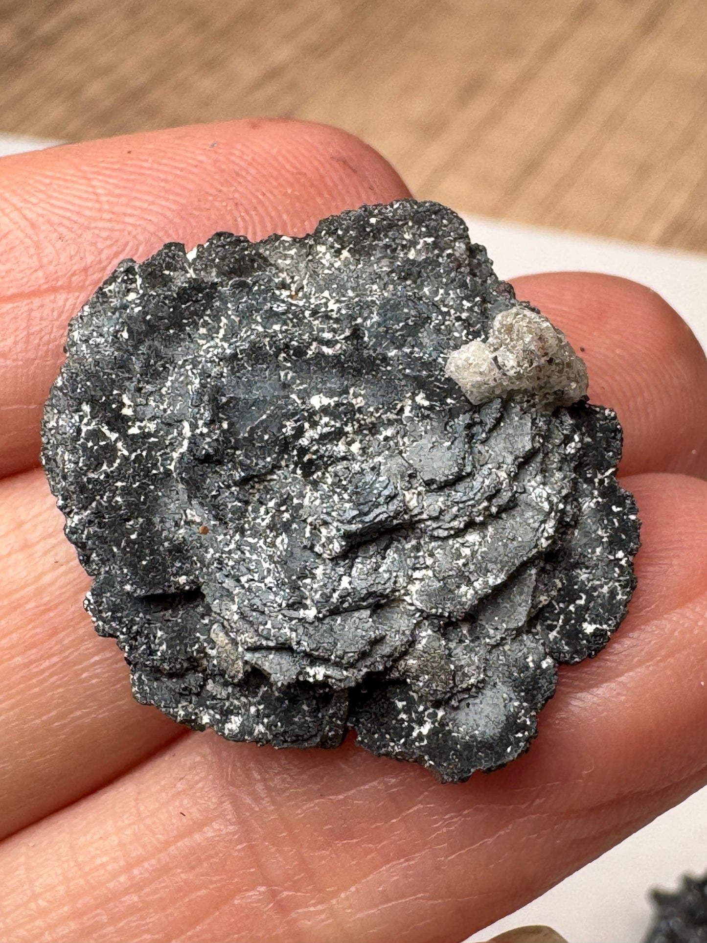 Hematite Rose Specimens — Lot A