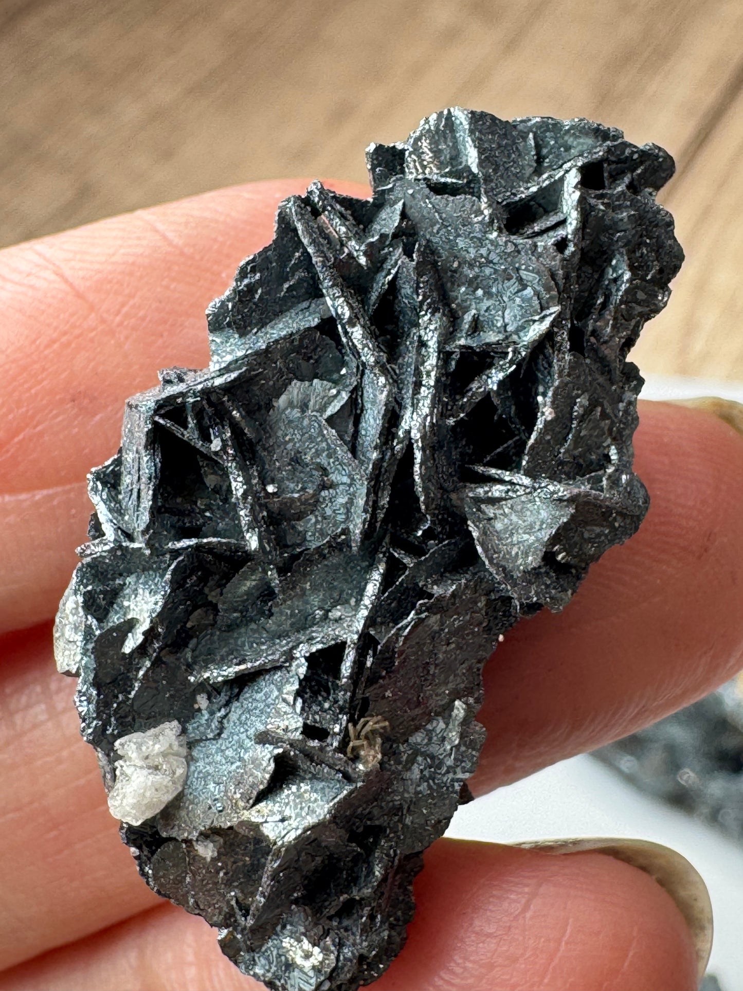 Hematite Rose Specimens — Lot B