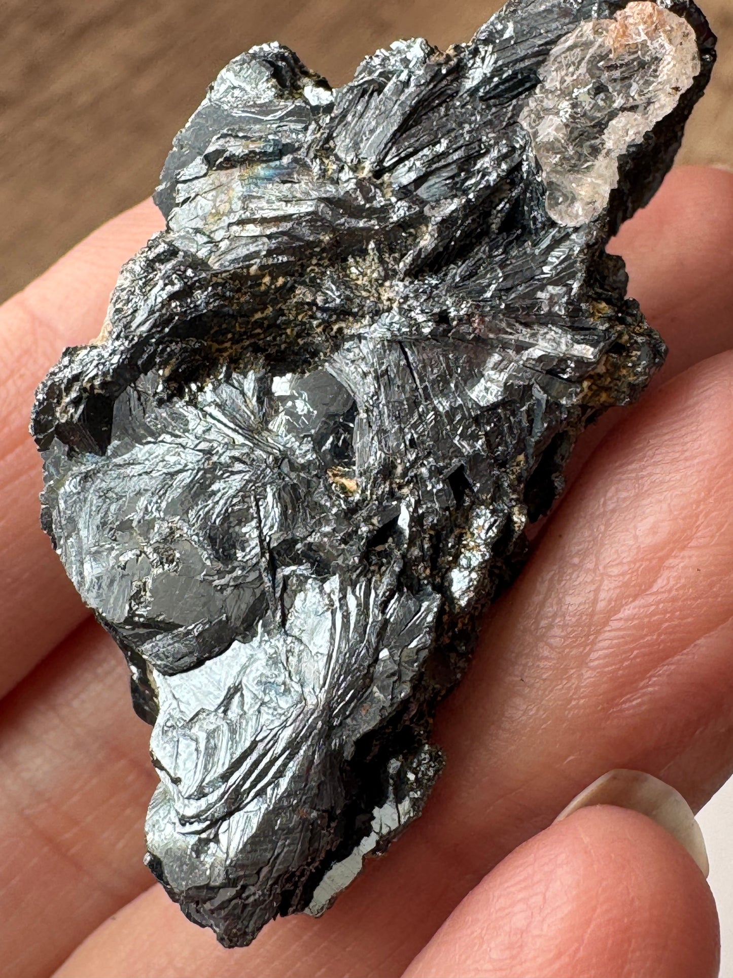 Hematite Rose Specimens — Lot B