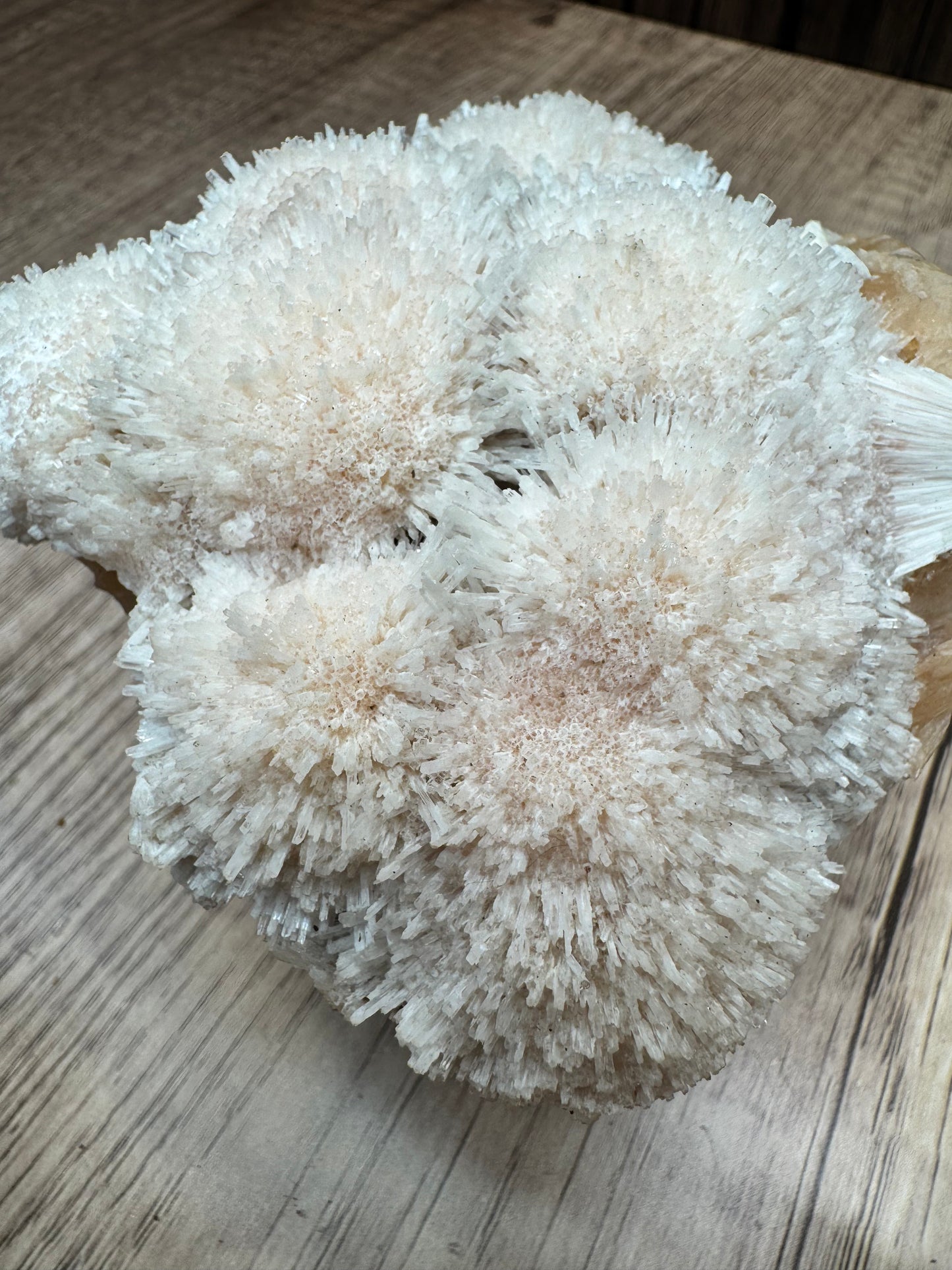 Blush Zeolite Sprays — Lot A