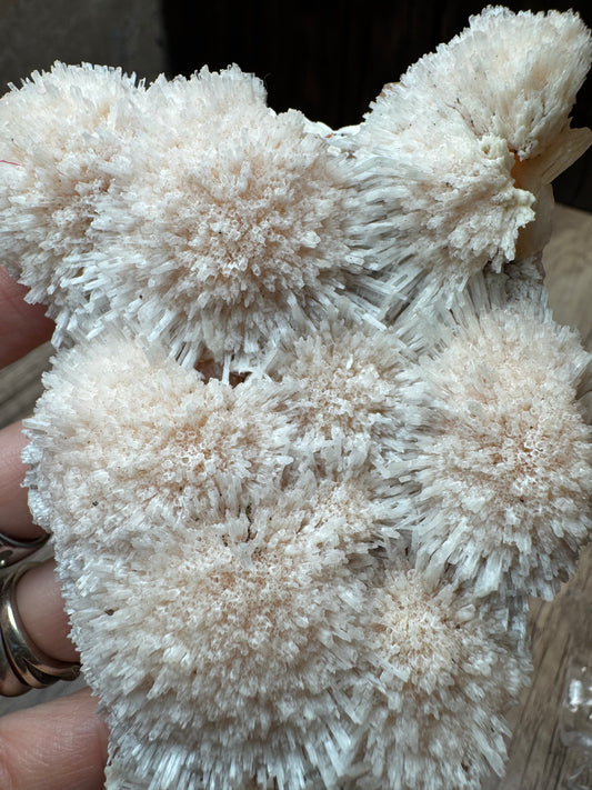Blush Zeolite Sprays — Lot A