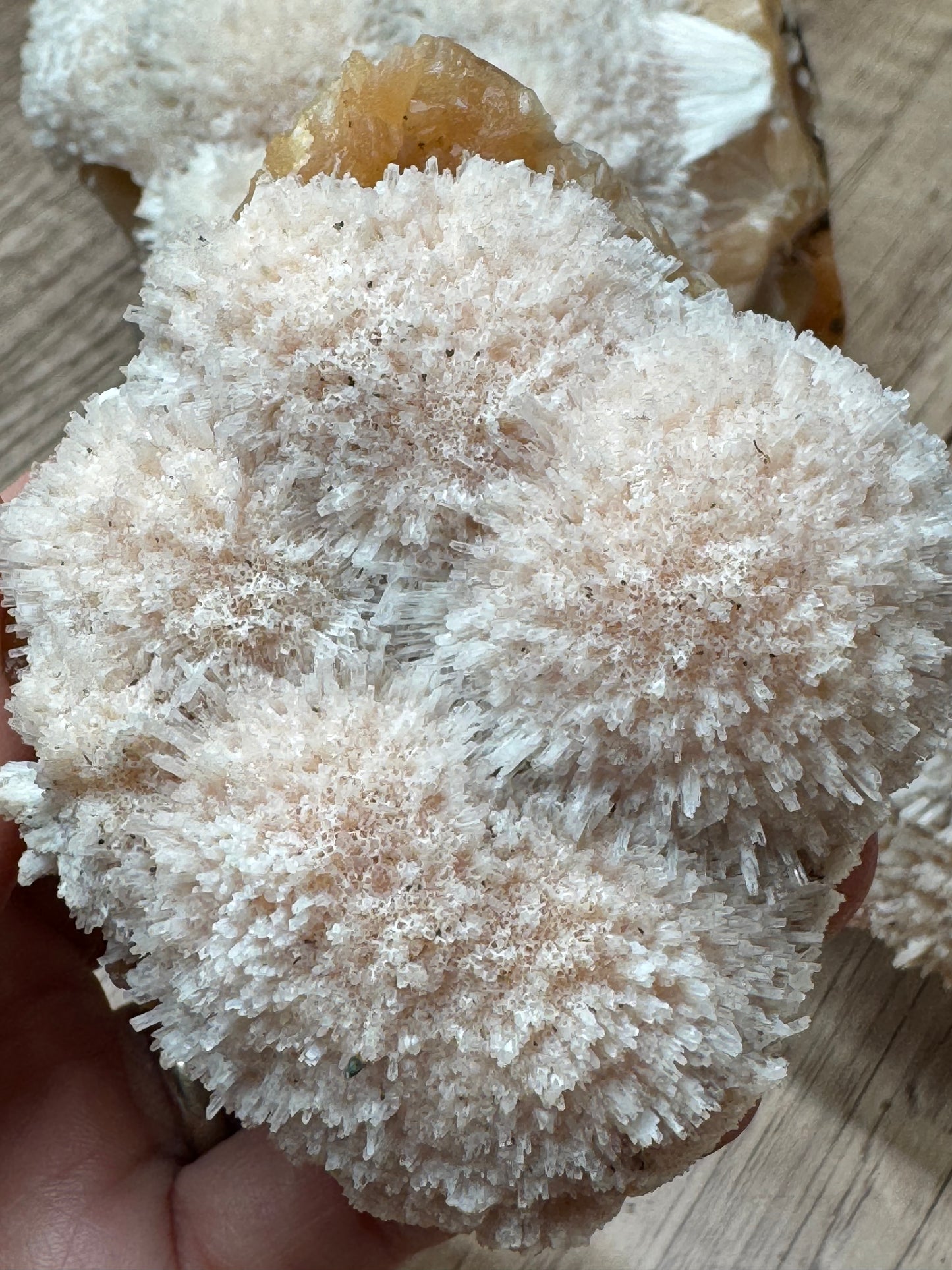Blush Zeolite Sprays — Lot A
