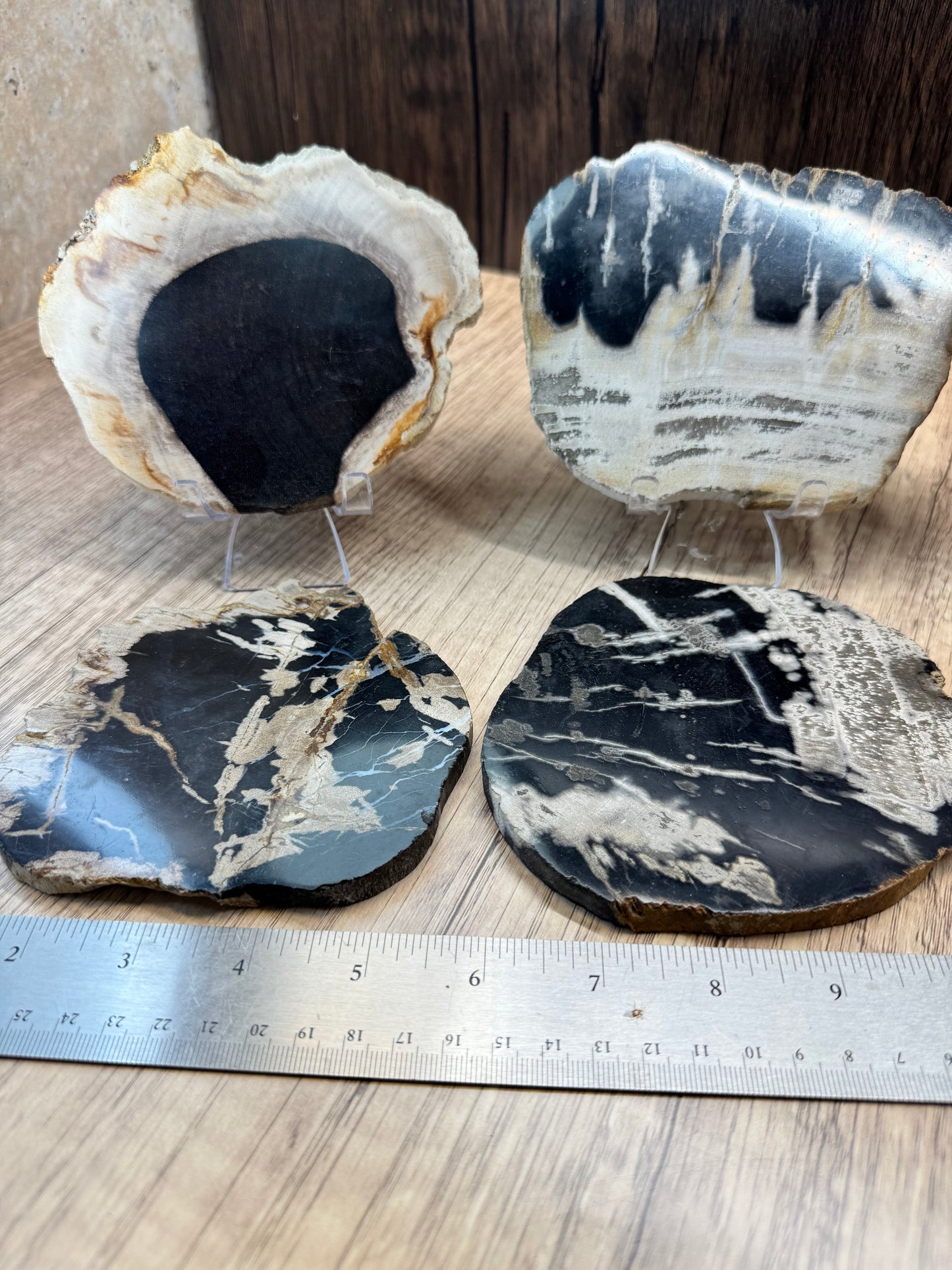 Palm Root Agate Slabs — Lot B