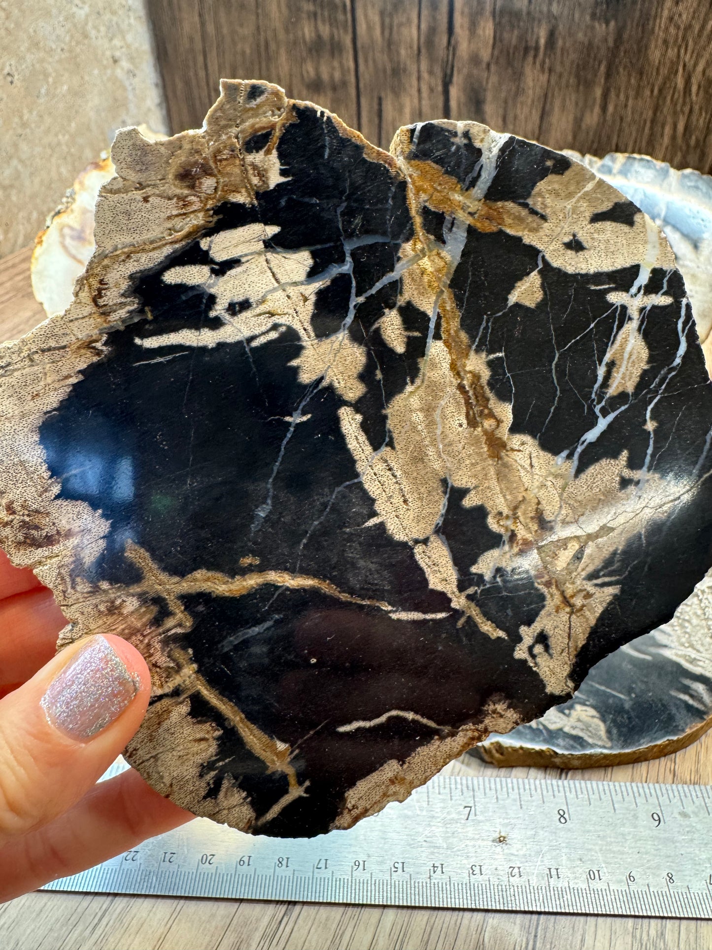 Palm Root Agate Slabs — Lot B