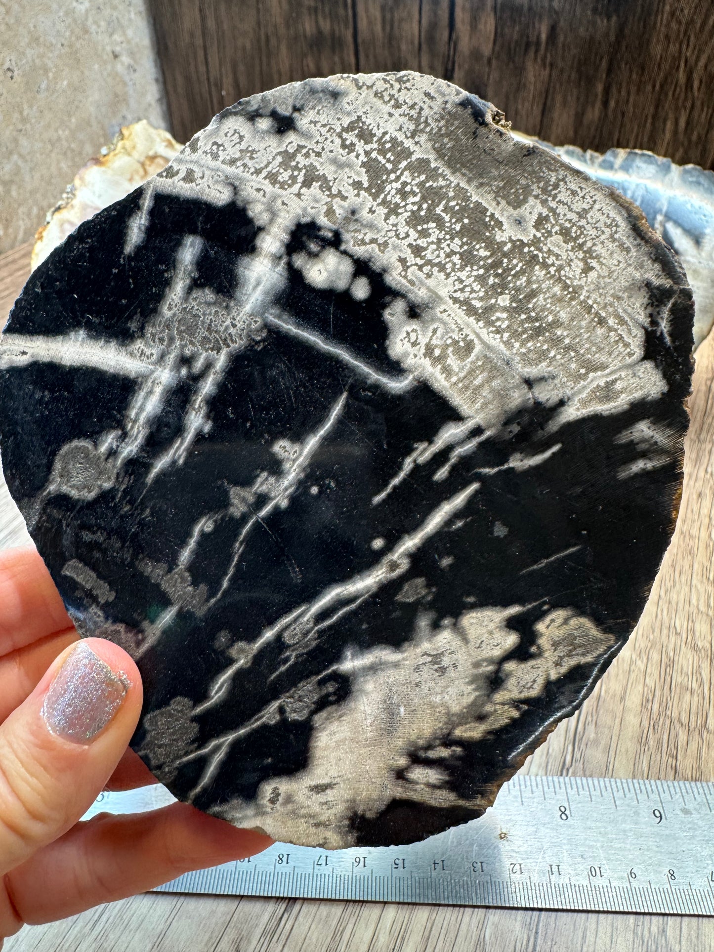 Palm Root Agate Slabs — Lot B