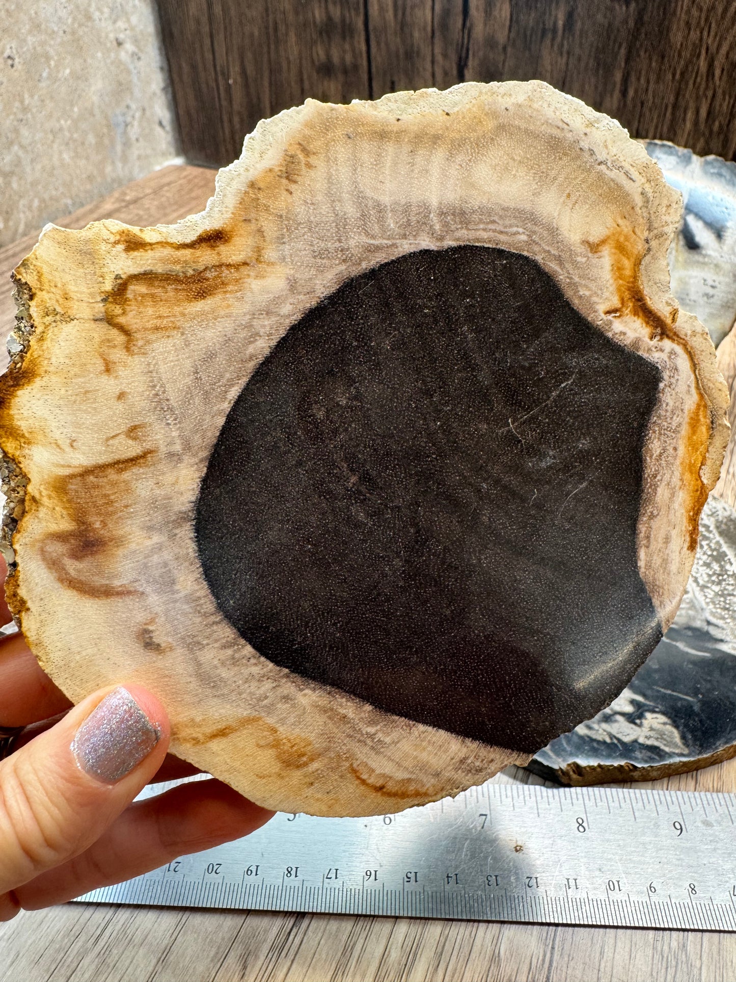 Palm Root Agate Slabs — Lot B