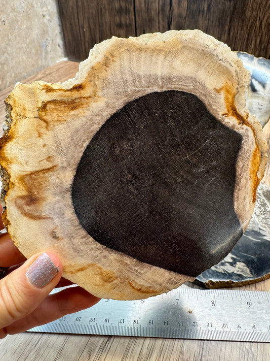 Palm Root Agate Slabs — Lot B