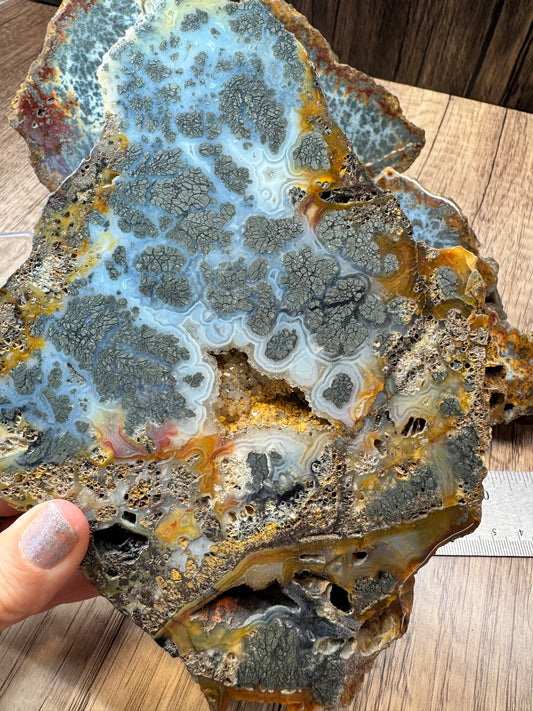 Red Marcasite Agate — Lot A