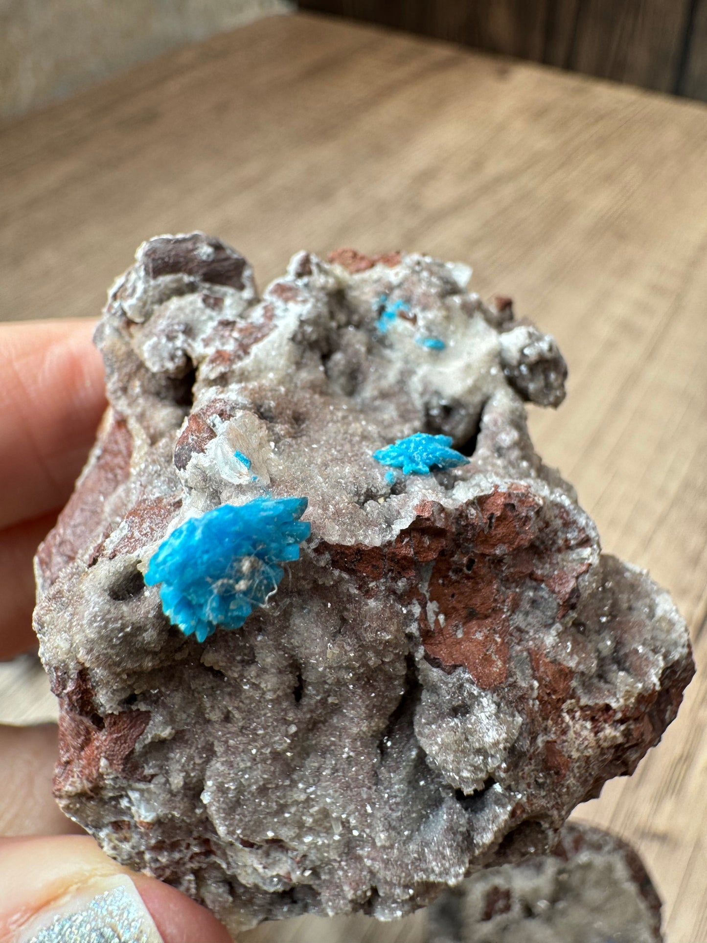 Cavansite on Matrix — Lot A