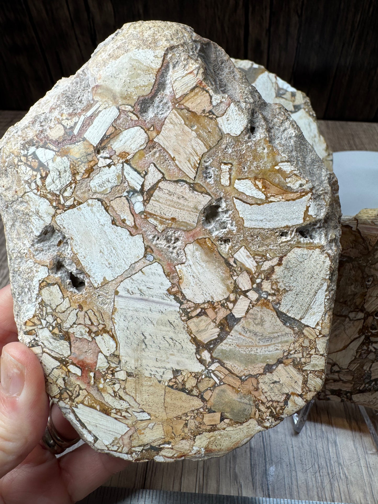 Maligano Jasper Slabs — Lot A