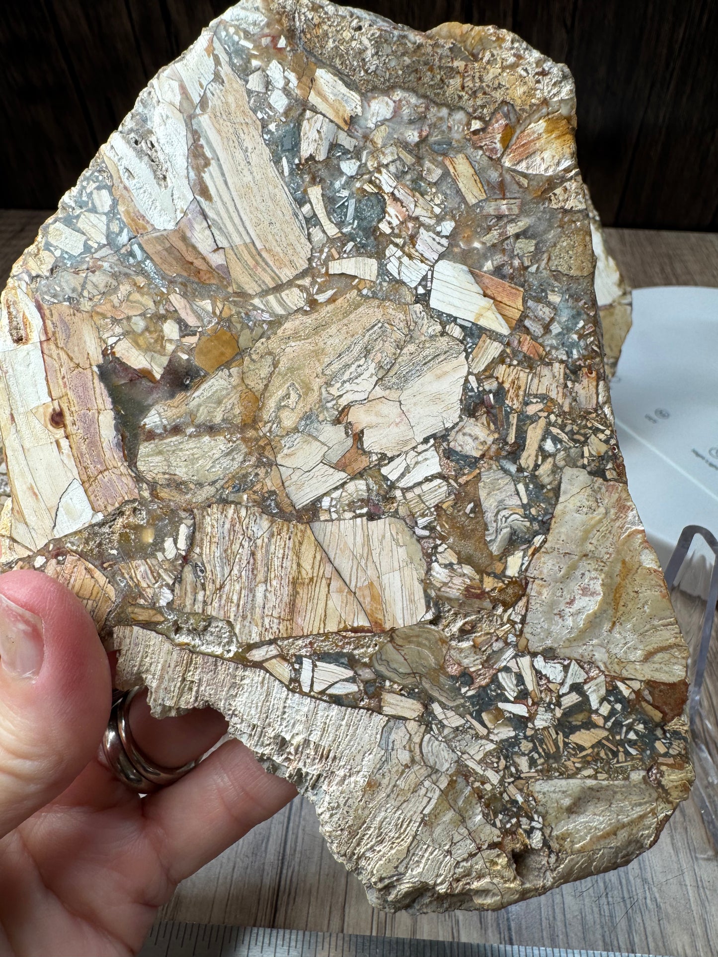 Maligano Jasper Slabs — Lot A