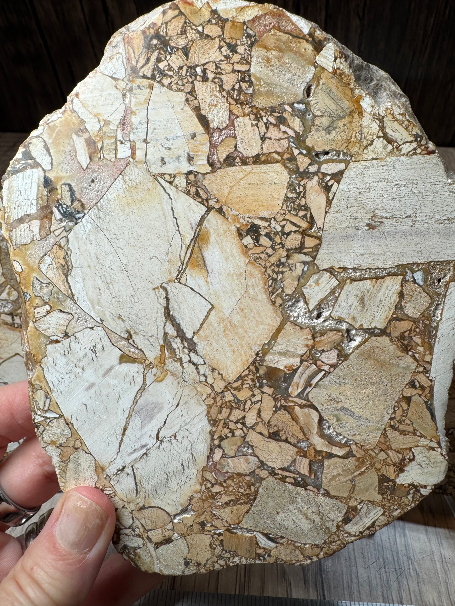 Maligano Jasper Slabs — Lot A